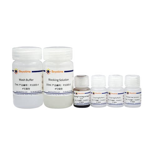 BeyoMag™ NHS磁珠偶联试剂盒(1μm) P1630S