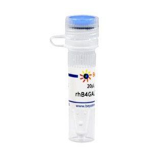 Recombinant Human B4GALT1 Protein (≥4U/μg) 碧云天 P2346