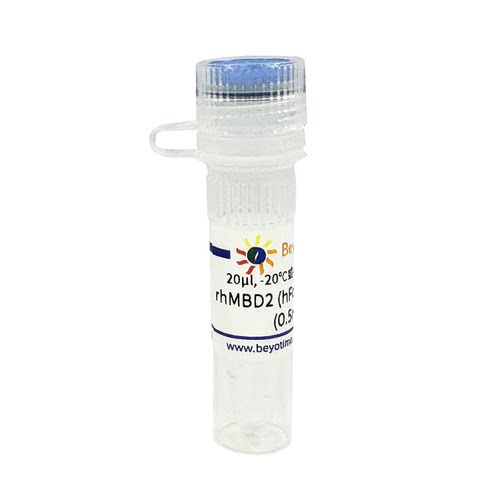Recombinant Human MBD2 (hFc-Tag, HEK293) 碧云天 P2536