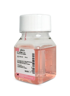 Gibco 31985-062 Opti-MEM I减血清培养基(含L-谷氨酰胺)科研试剂