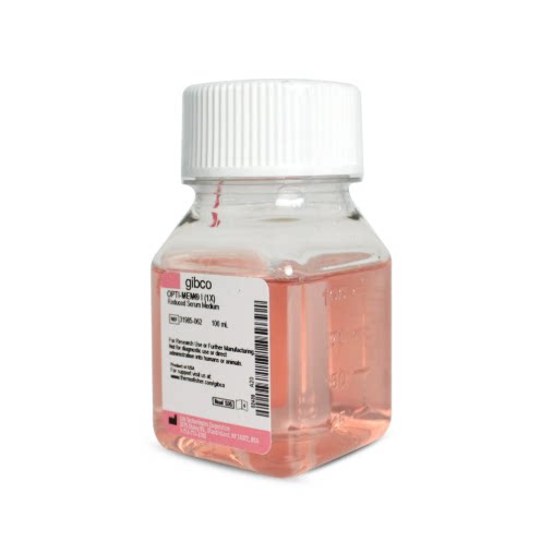 Gibco 31985-062 Opti-MEM I减血清培养基(含L-谷氨酰胺)科研试剂