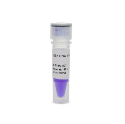BL634A 50bp DNA Marker 分子量标准（50-600bp）