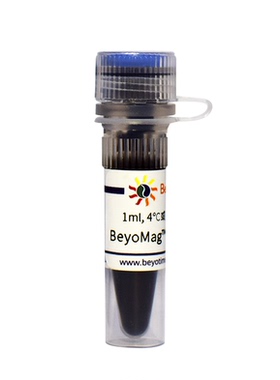 BeyoMag™ Protein A磁珠 P2102 碧云天