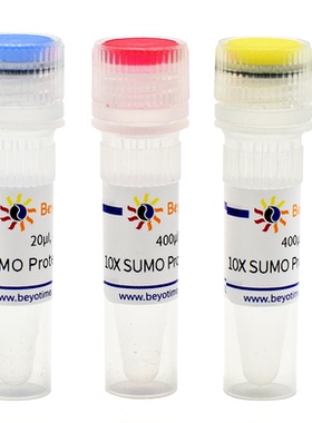 SUMO Protease  碧云天 P2312S  P2312M  P2312L