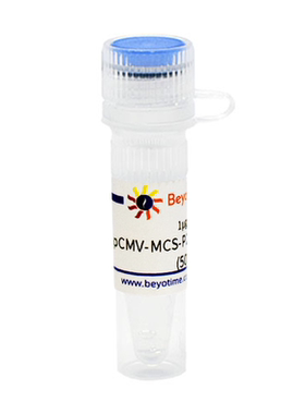 pCMV-MCS-P2A-EGFP-HA-Neo碧云天生物   D2640