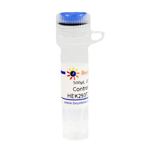 Control Knockout HEK293T Trizol Lysate   碧云天L00031