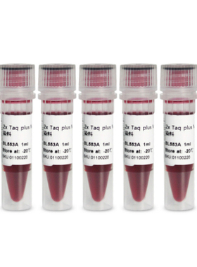 BL553B 2×Taq plus PCR Master Mix含染料BL553C  BL553D