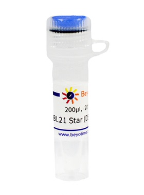 BL21 Star (DE3)pLysS甘油菌(低本底蛋白高诱导表达用)碧云天生物