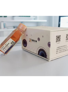 JY527  人淋巴内皮细胞HLEC