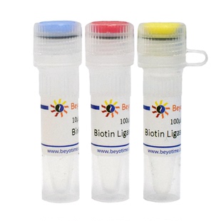 Avi标签蛋白生物素标记试剂盒(BirA法) P0630