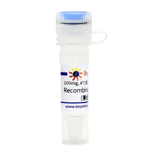 Recombinant Proteinase K (重组蛋白酶K) ST537 碧云天