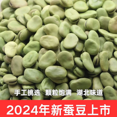 湖北农村小蚕豆干蚕豆生新蚕豆罗汉豆农家青胡豆可发芽蚕豆种子