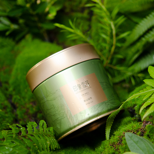 2025新茶峨眉雪芽印象雪芽50g绿茶峨眉山罐装 四川特产茶叶云雾茶