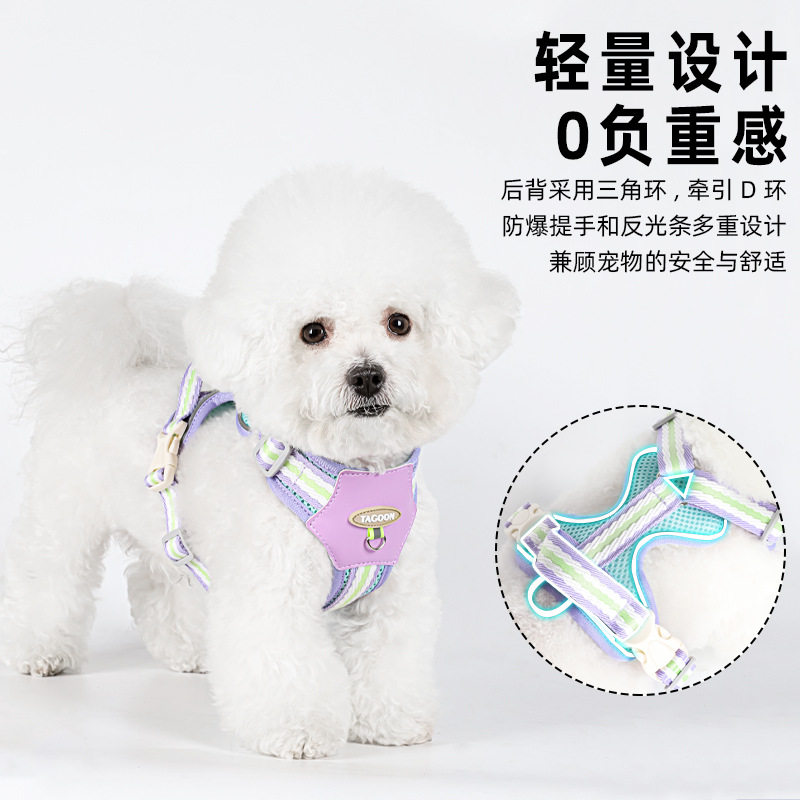 狗狗牵引绳夏季工字型透气