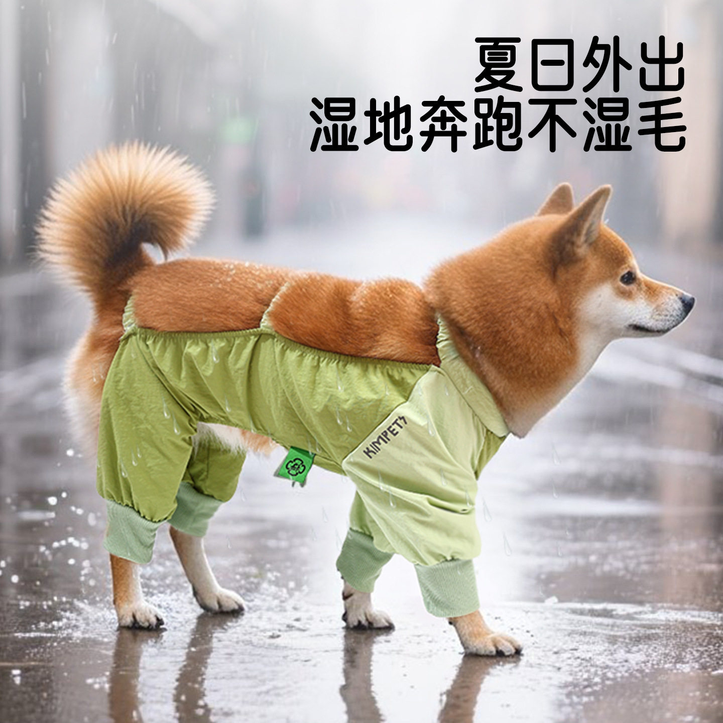 狗狗防尘裤小型犬四脚衣服