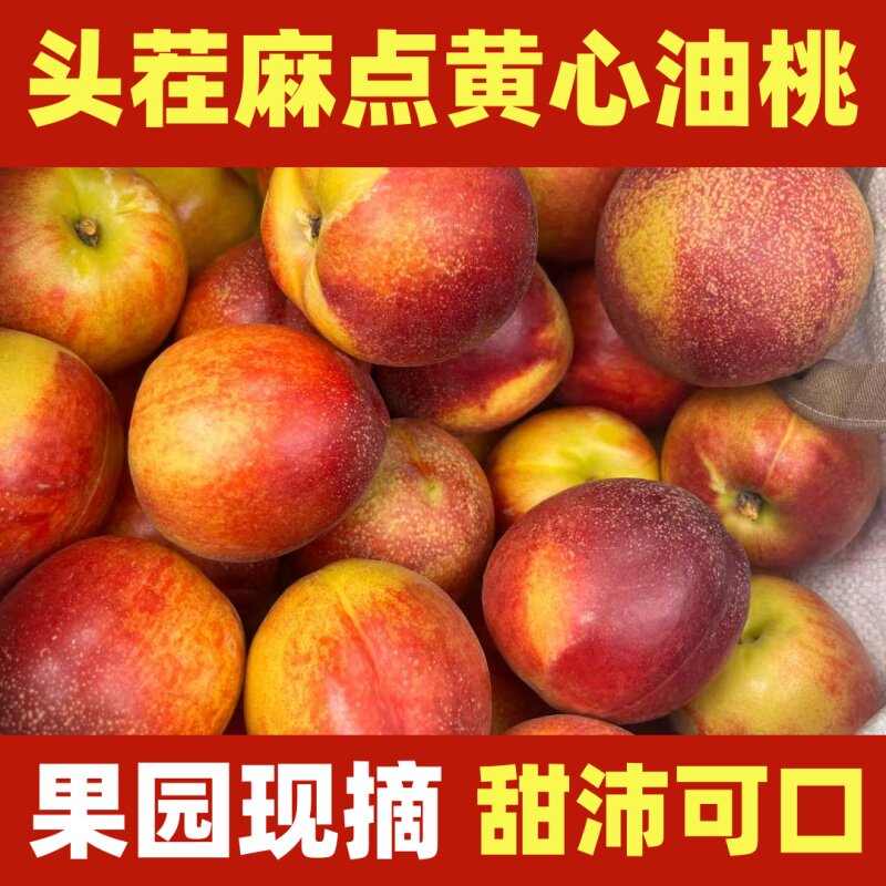 山西运城麻点油桃黄心油桃黄肉油桃当季新鲜水果桃子现摘现发