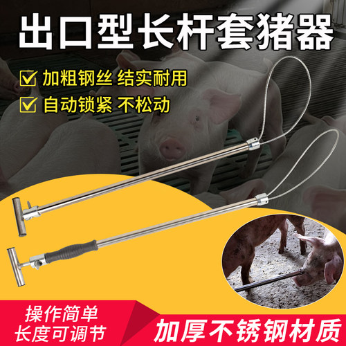 安牧科不锈钢套猪器猪用保定器套猪嘴神器母猪套索杆养殖场抓猪器