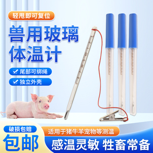 水银体温计兽用玻璃温度计猪牛羊宠物用高精度测温度计肛门温度计