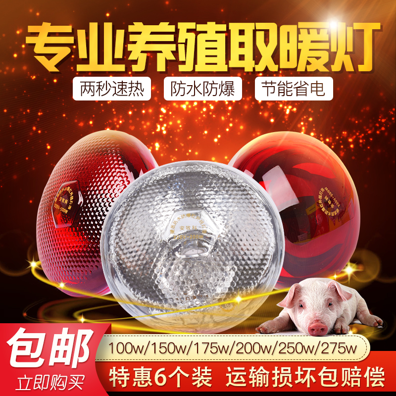 养殖场专用保温灯兽用猪取暖保暖