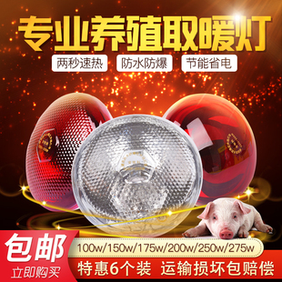 养殖场专用保温灯猪兽用烤灯红外线仔猪小鸡养殖取暖保暖加热灯泡
