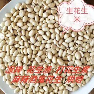 新货脱皮生花生米去皮花生仁颗粒饱满批发生花生米烘培花生酱原料