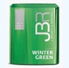 Germany Universal New products Holly Mint fresh natural introduction Snuff 10 box-packed auxiliary Quit smoking