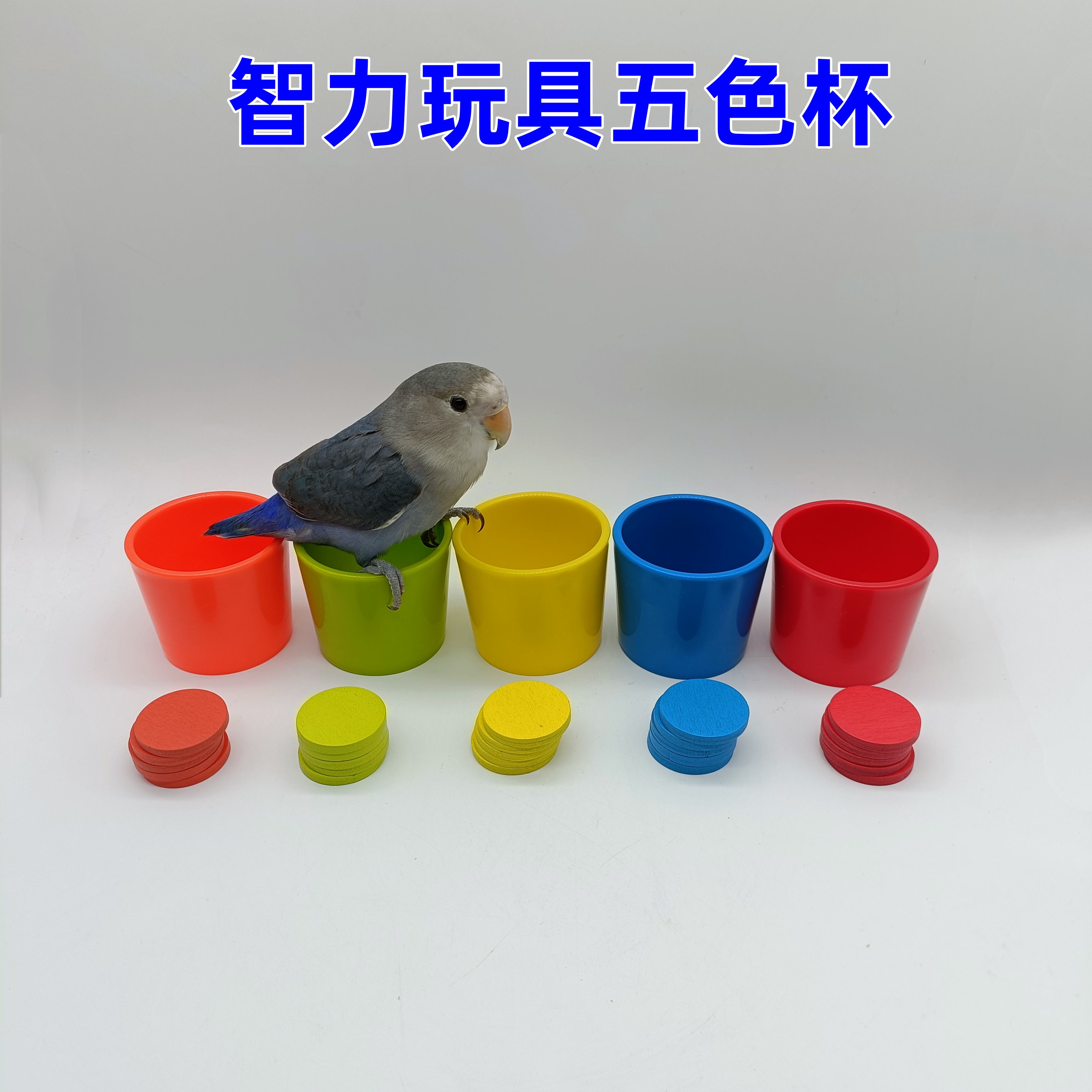 鹦鹉智力玩具训练道具五色杯子