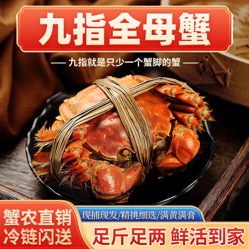 大闸蟹鲜活九指蟹全母蟹高性价比