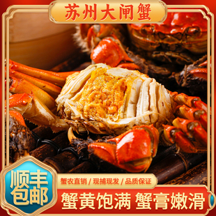 大闸蟹鲜活特大苏州缺脚蟹全母蟹活蟹大螃蟹超高品质残蟹3两母