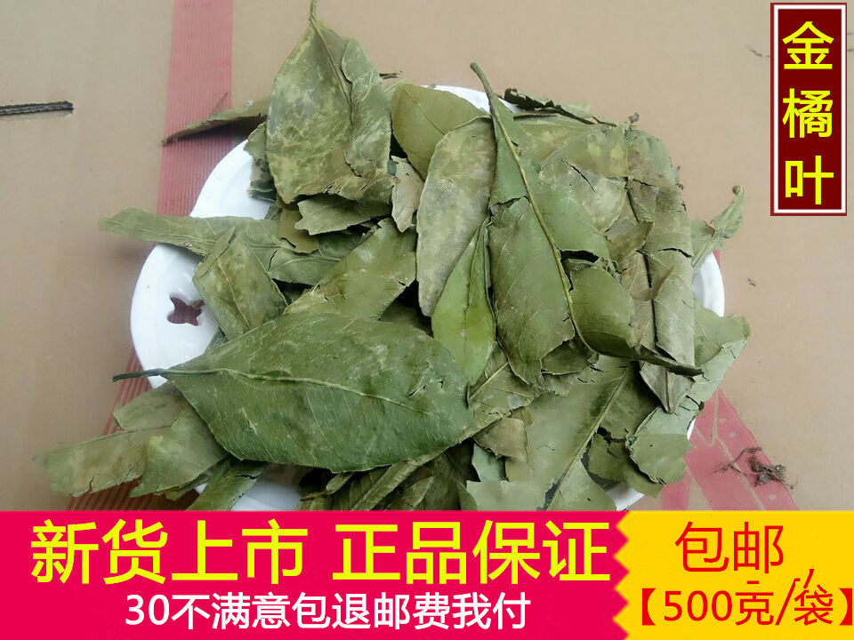 金橘叶中药材生晒新货桔叶干橘叶橘树叶桔子叶 500克包邮实物拍摄