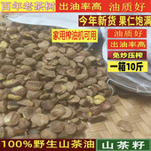 广西野生山茶籽仁茶籽榨油原料洗头自榨山茶子茶籽去壳油料茶籽仁