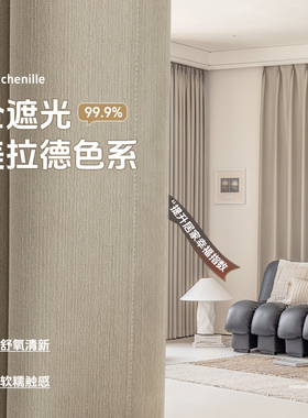 抗菌无甲醛全遮光卧室客厅窗帘2024新款轻奢现代高端雪尼尔云朵绒