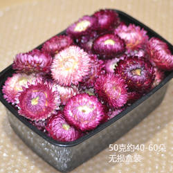 紫色小雏菊干花包天然风干七彩麦杆菊花头散装大花头手工材料相框