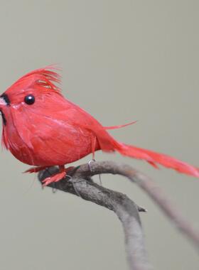 仿真小鸟家居装饰红色罗宾鸟羽毛