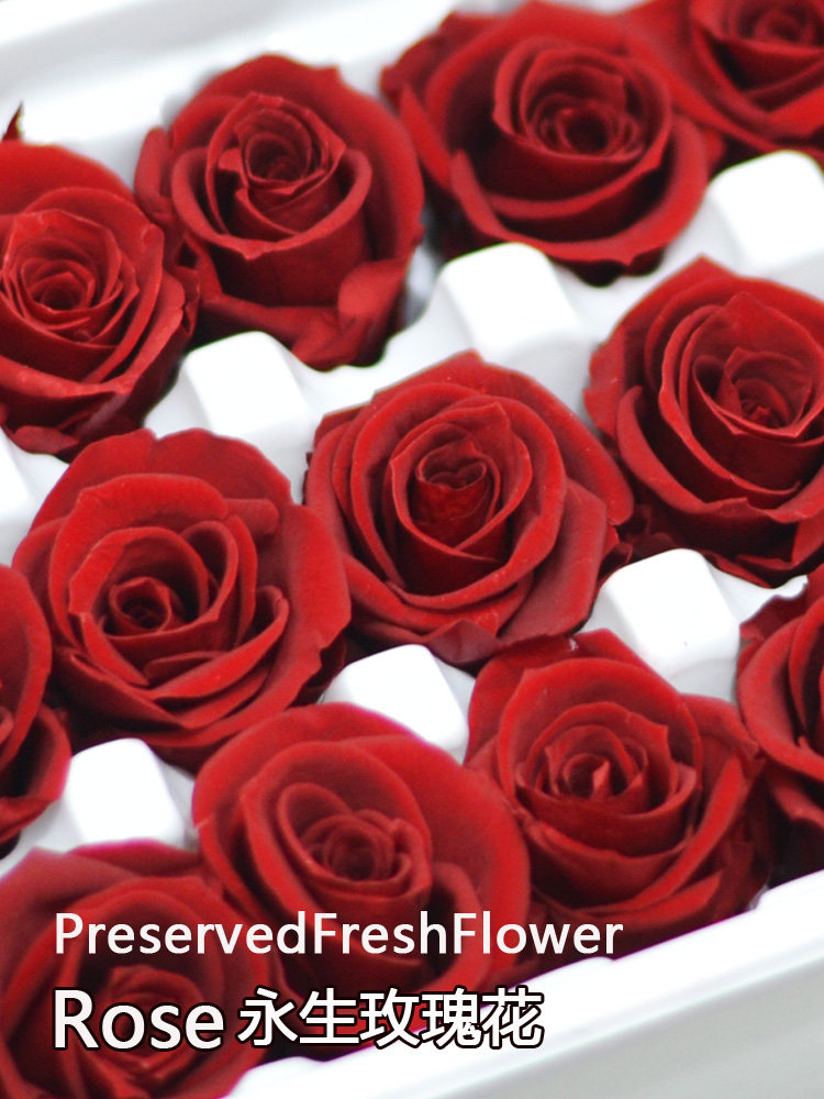 永生花玫瑰a级2-3cm保鲜花花束相筐礼盒diy玻璃瓶手工花材干花包
