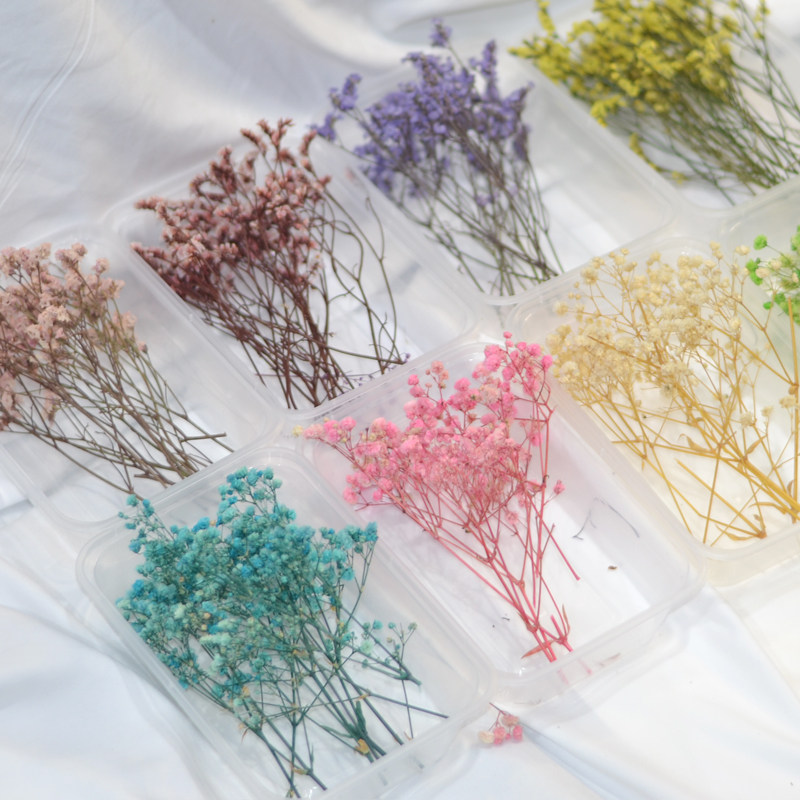 满天星干花包水晶草永生花束花头手工材料浮油花压花贴画客厅装饰,家居饰品,干花/花瓣/干花包/干树枝,淘宝优惠券,粉丝福利购,淘宝优惠卷