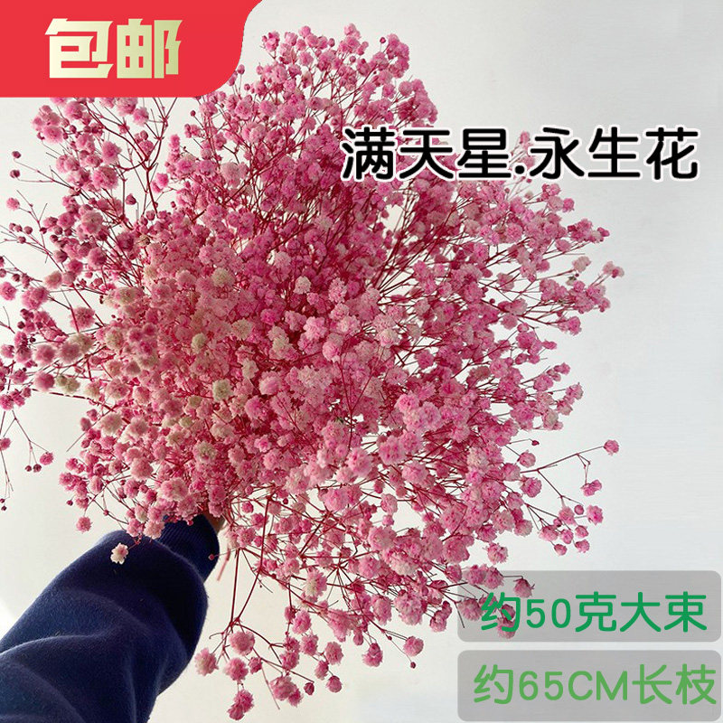 大束满天星永生花伊洛斯千万星百万星干花包混搭花束家居装饰插花