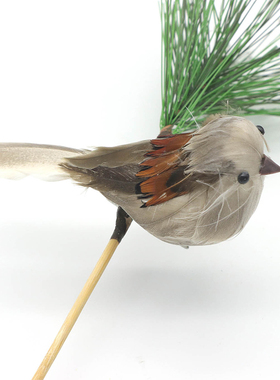 家居装饰仿真麻雀实心真羽毛夹子