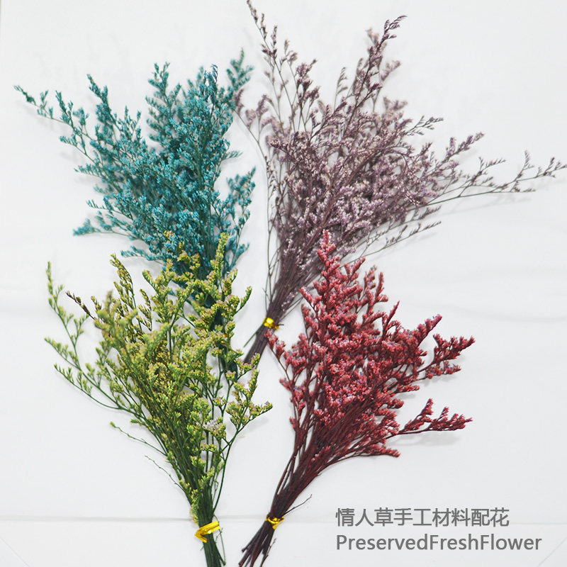 短枝情人草永生花束天然混搭干花包手工玻璃置压花材料包装饰摆件,家居饰品,干花/花瓣/干花包/干树枝,淘宝优惠券,粉丝福利购,淘宝优惠卷