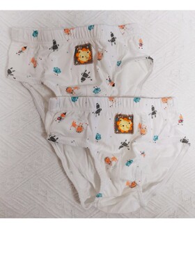 秋季男童女童纯棉三角内裤2条装