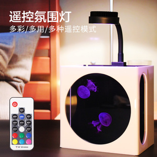 SmartX小型桌面水母缸鱼缸生态发光水母饲养缸七彩变色儿童节