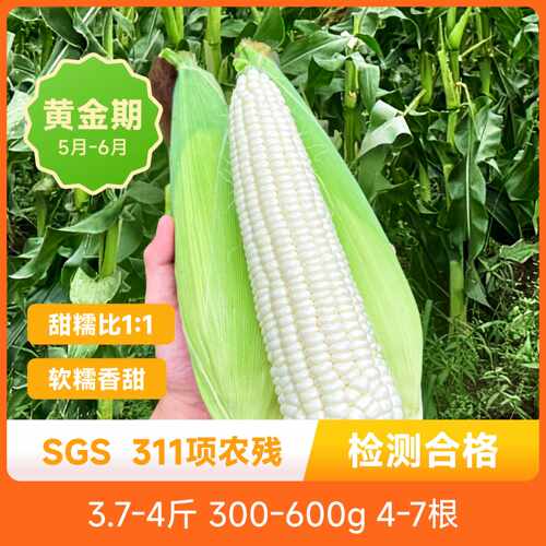 不打膨胀剂不泡药自然熟