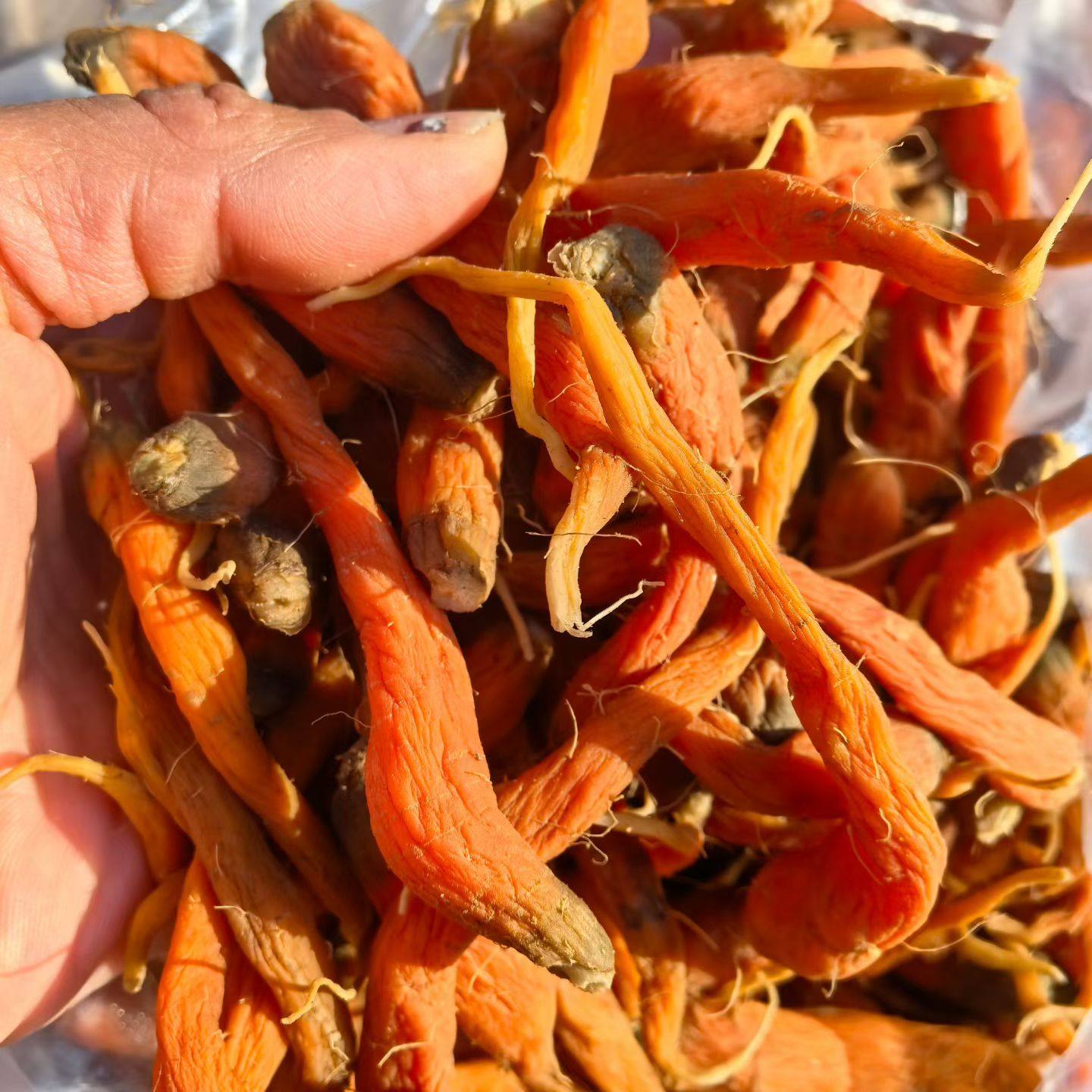 【黄金条】永新安福特产自晒咸胡萝卜干炒菜泡茶下饭菜,水产肉类/新鲜蔬果/熟食,脱水蔬菜,淘宝优惠券,粉丝福利购,淘宝优惠卷