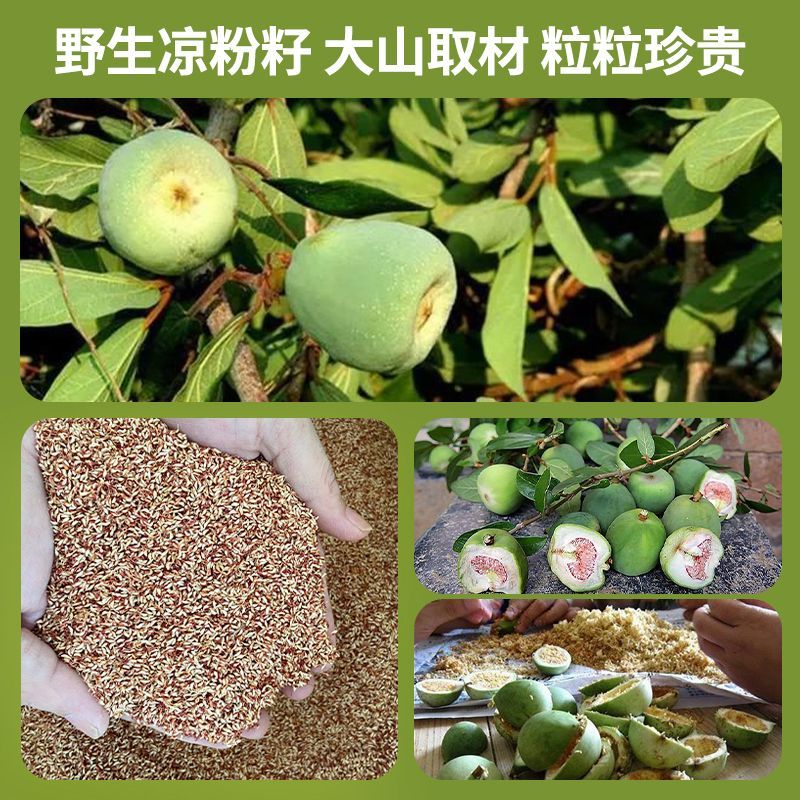 永新特产本地木瓜籽凉粉籽(纯野生 自己种不出来)