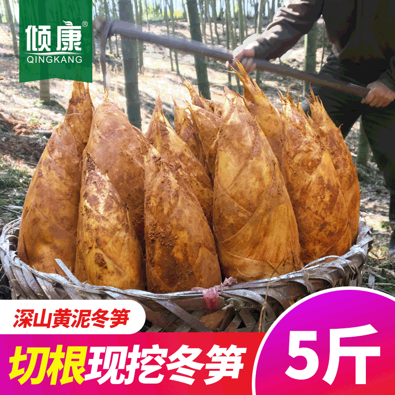 新鲜冬笋倾康新鲜现挖冬笋