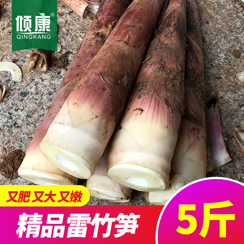 雷笋新鲜雷竹笋冬笋竹笋麻竹笋雷公笋春笋现挖野生农家蔬菜5斤装