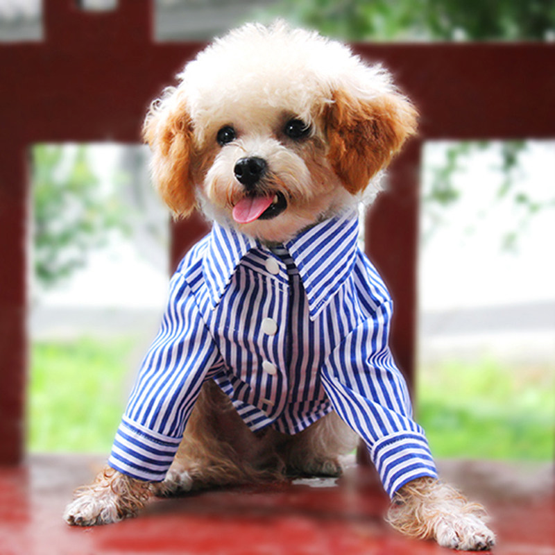 宠物狗春夏条纹衬衫毛贝贝幼犬