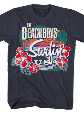 海滩男孩The Beach Boys60年代的美国迷幻摇滚乐队 美式高街T恤