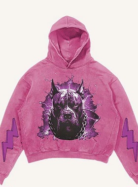 Forgotten专辑欧美乐队暗黑和平鸽潮牌复古水洗加绒加厚连帽卫衣