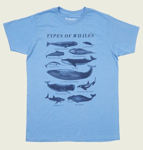 TYPESOFWHALES短袖美式复古T恤